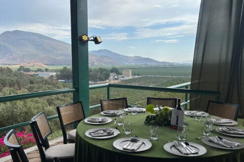 Vinos para brindar esta Navidad: descubre Don Luis Selección Reservada