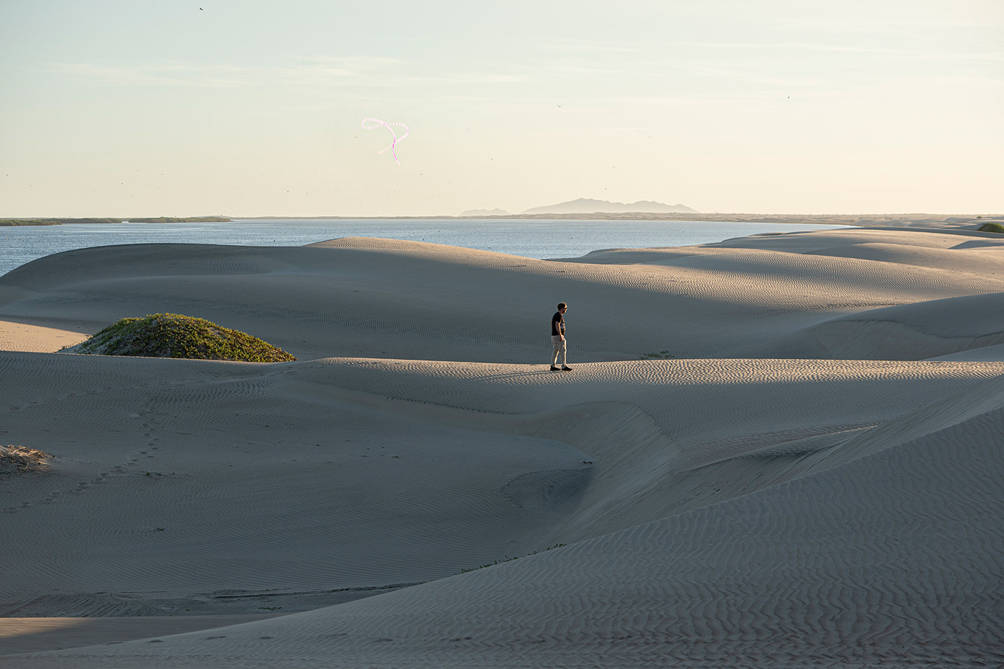 BCS_Bahía_Magdalena_dunas