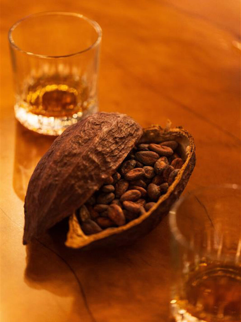 Hay experiencias que combinan ron añejado con chocolate artesanal hecho a partir de cacao local.