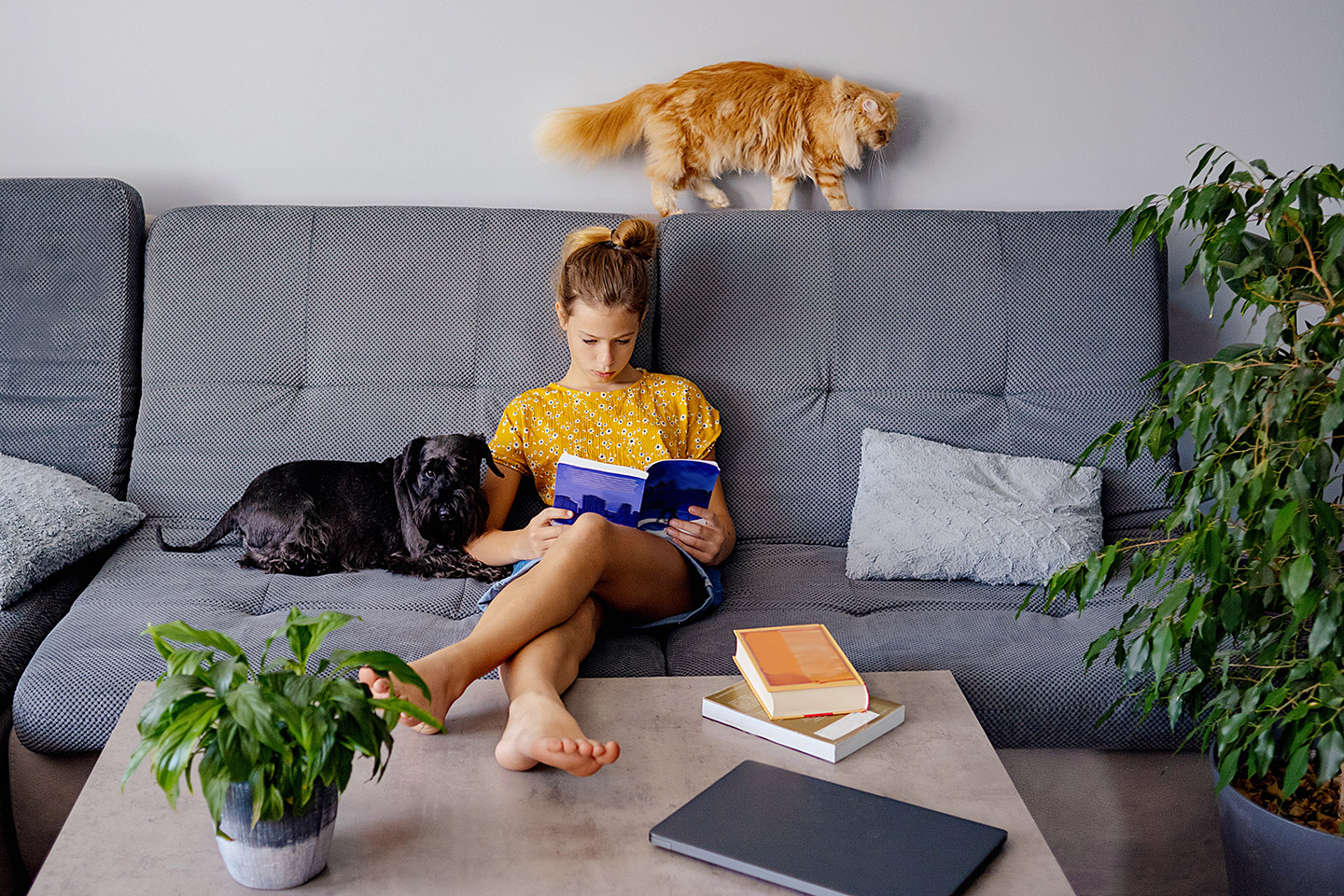 Un Detox digital permite que la mente desacelere y recupere su capacidad natural de enfoque.