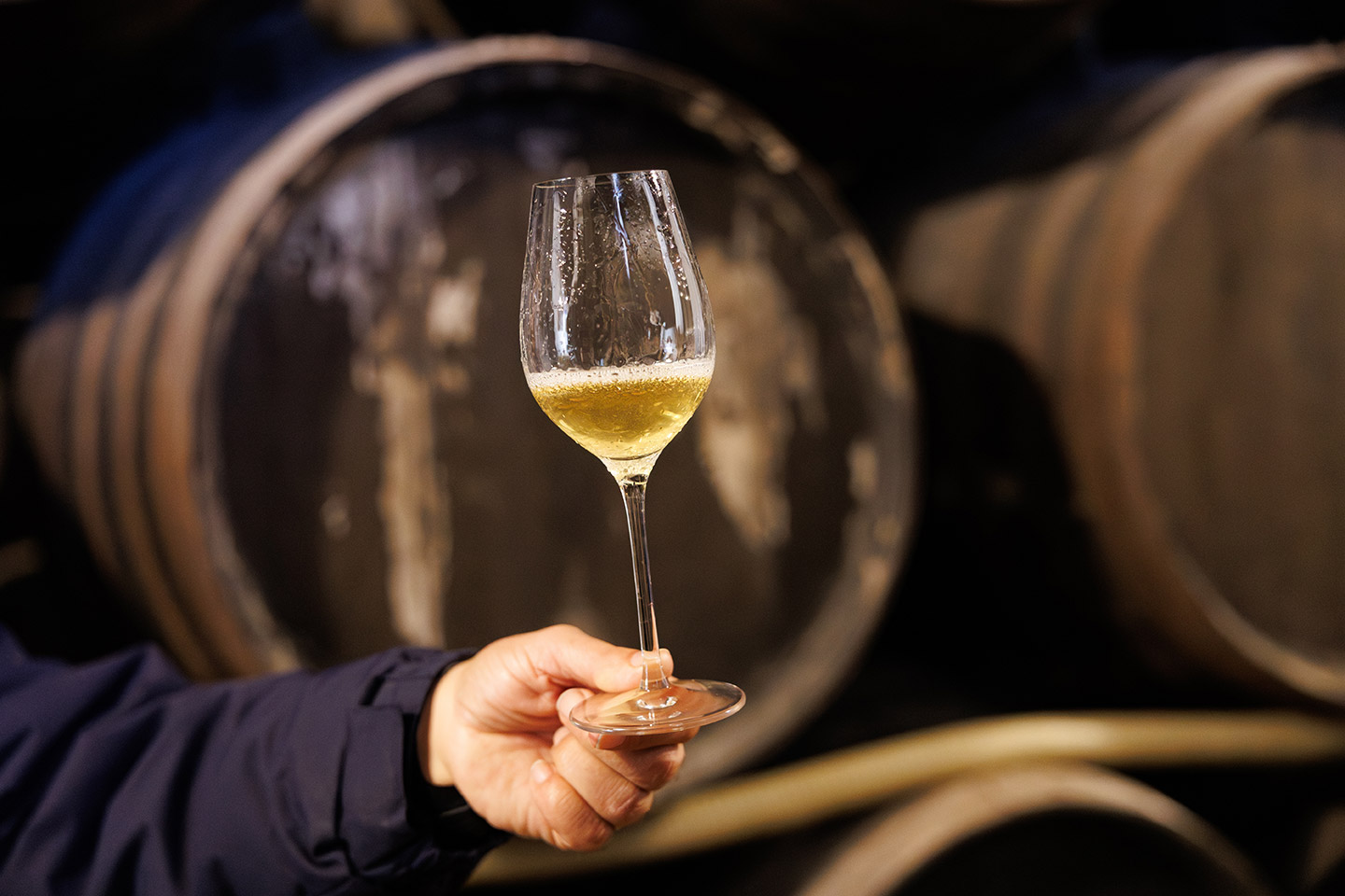 El vino de Jerez -famoso en todo el mundo- es protagonista en la cocina local.
