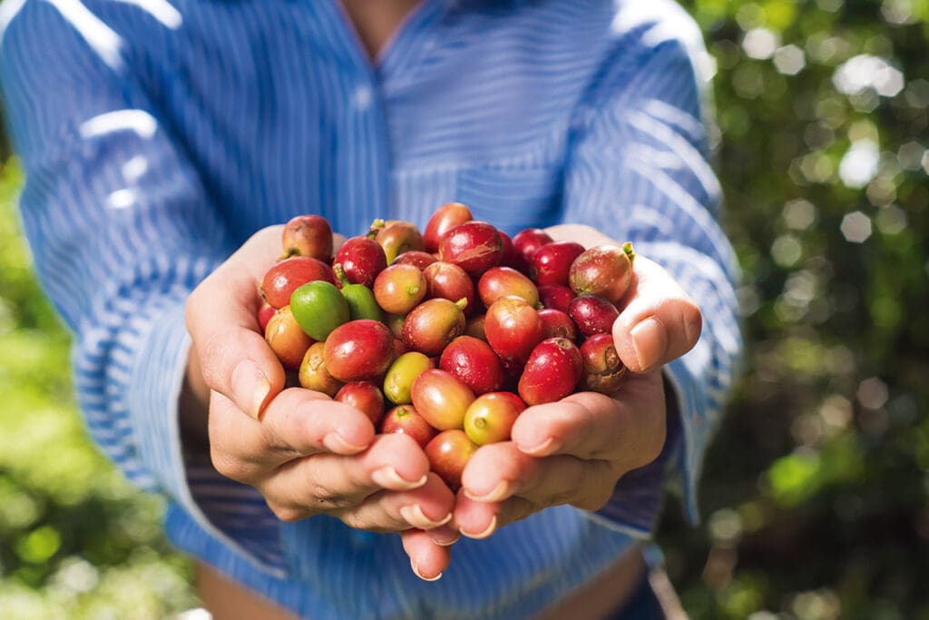 Ruta del café en Nicaragua
