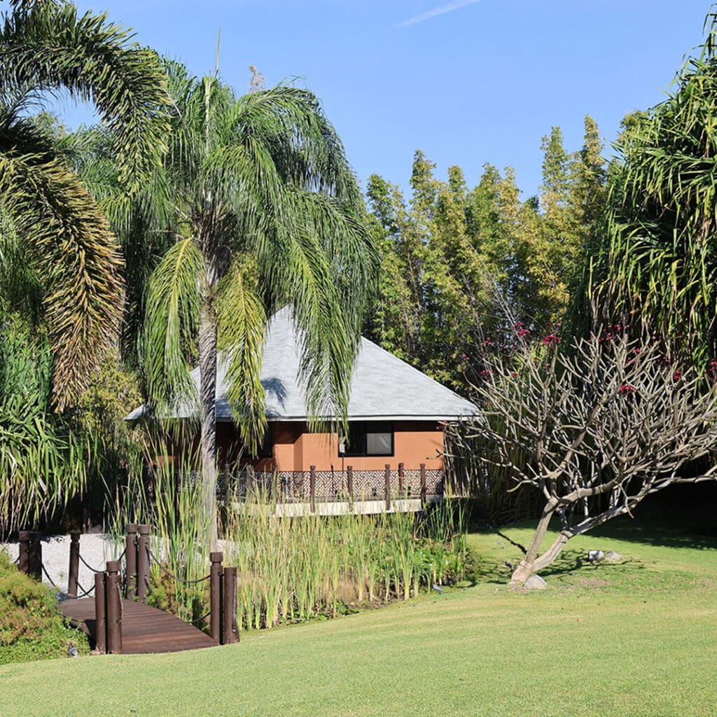 Soul Spring Sanctuary — Cuernavaca, Morelos