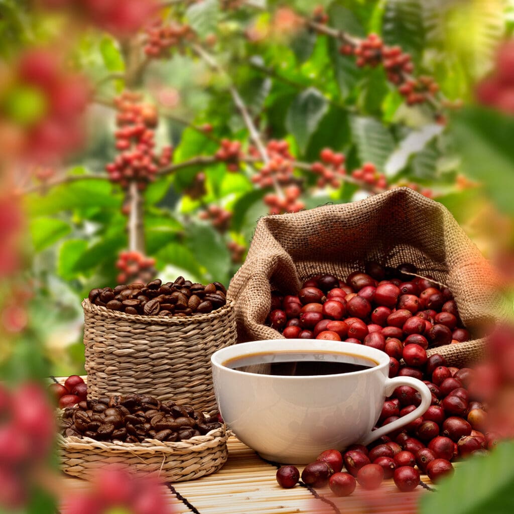 beneficios del café