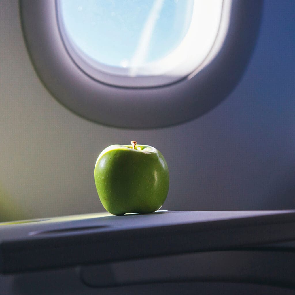 equipaje_mano_avión_alimentoa cosas que se pueden llevar en el equipaje de mano en el avión