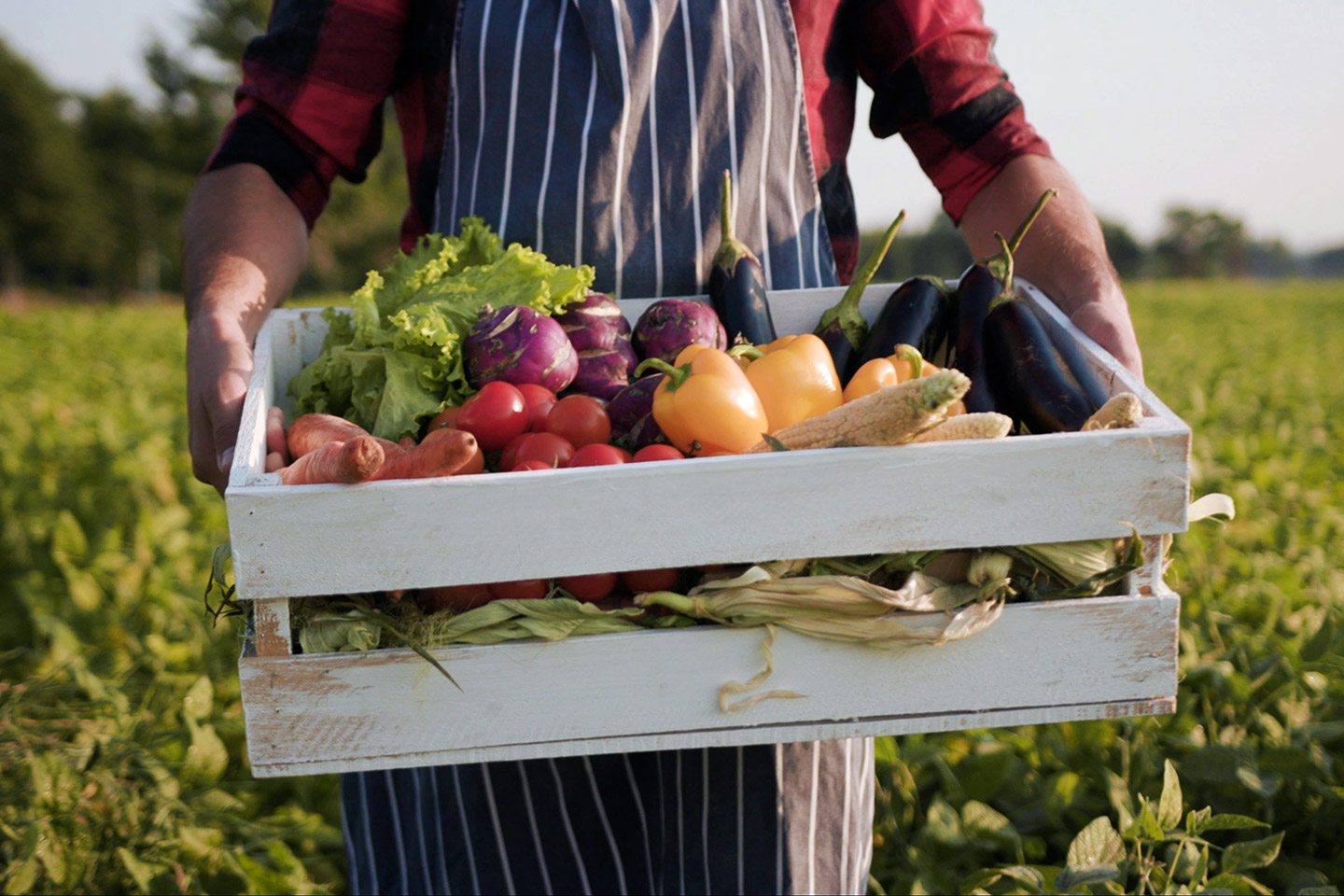 Qué es la gastronomía regenerativa