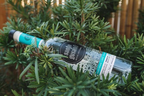 Santo Gusano, el mezcal artesanal de Oaxaca que debes probar