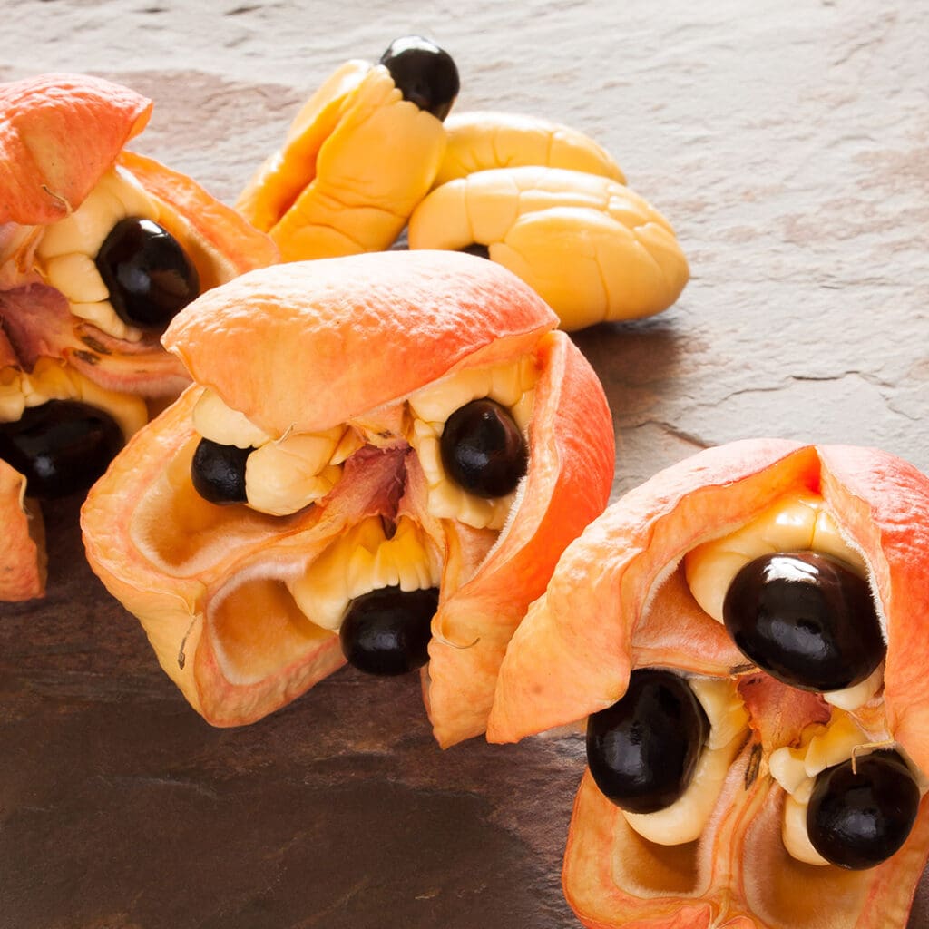 Ackee — Fruta tóxica (Jamaica)
