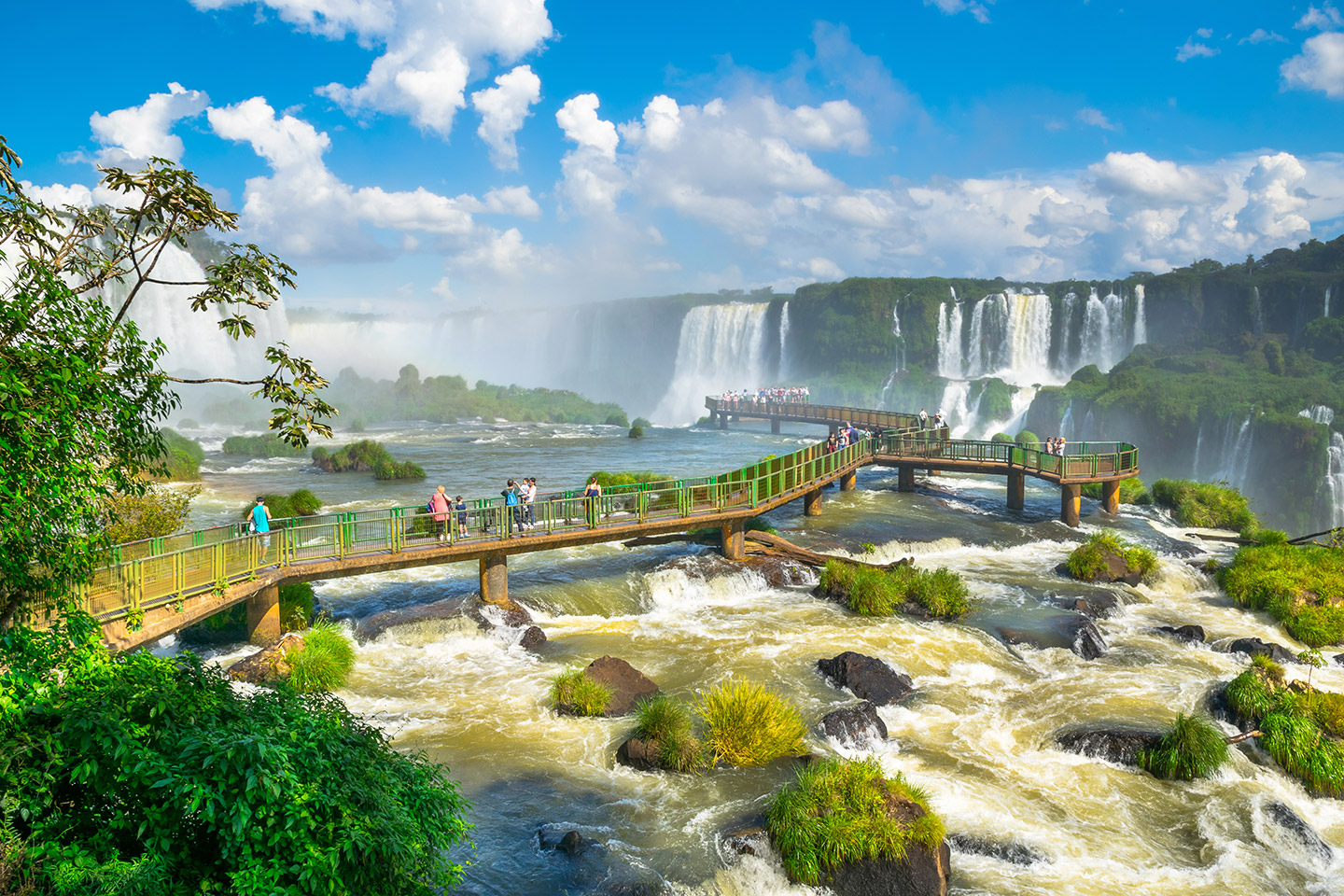 requisitos_viajar_Brasil_6 La vacuna contra la fiebre amarilla es altamente recomendada si vas a zonas selváticas o rurales de riesgo.