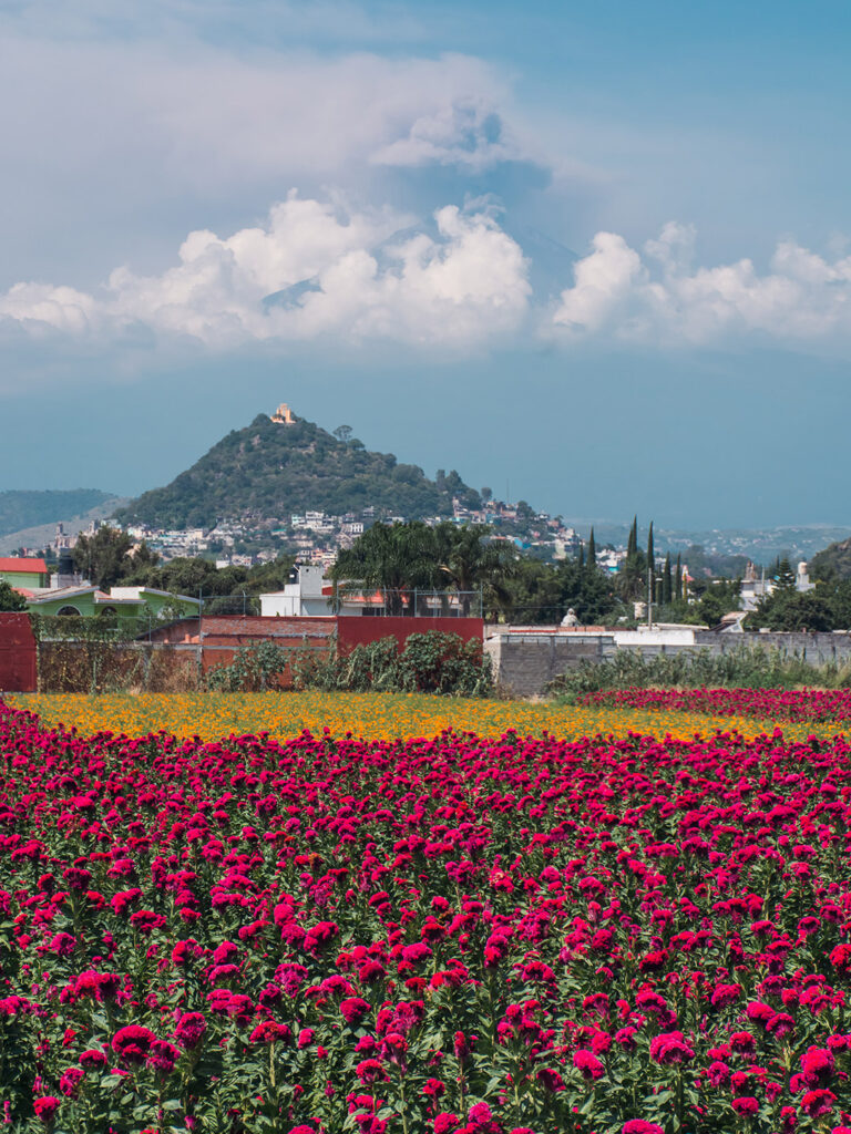 Tours en México para el megapuente de febrero