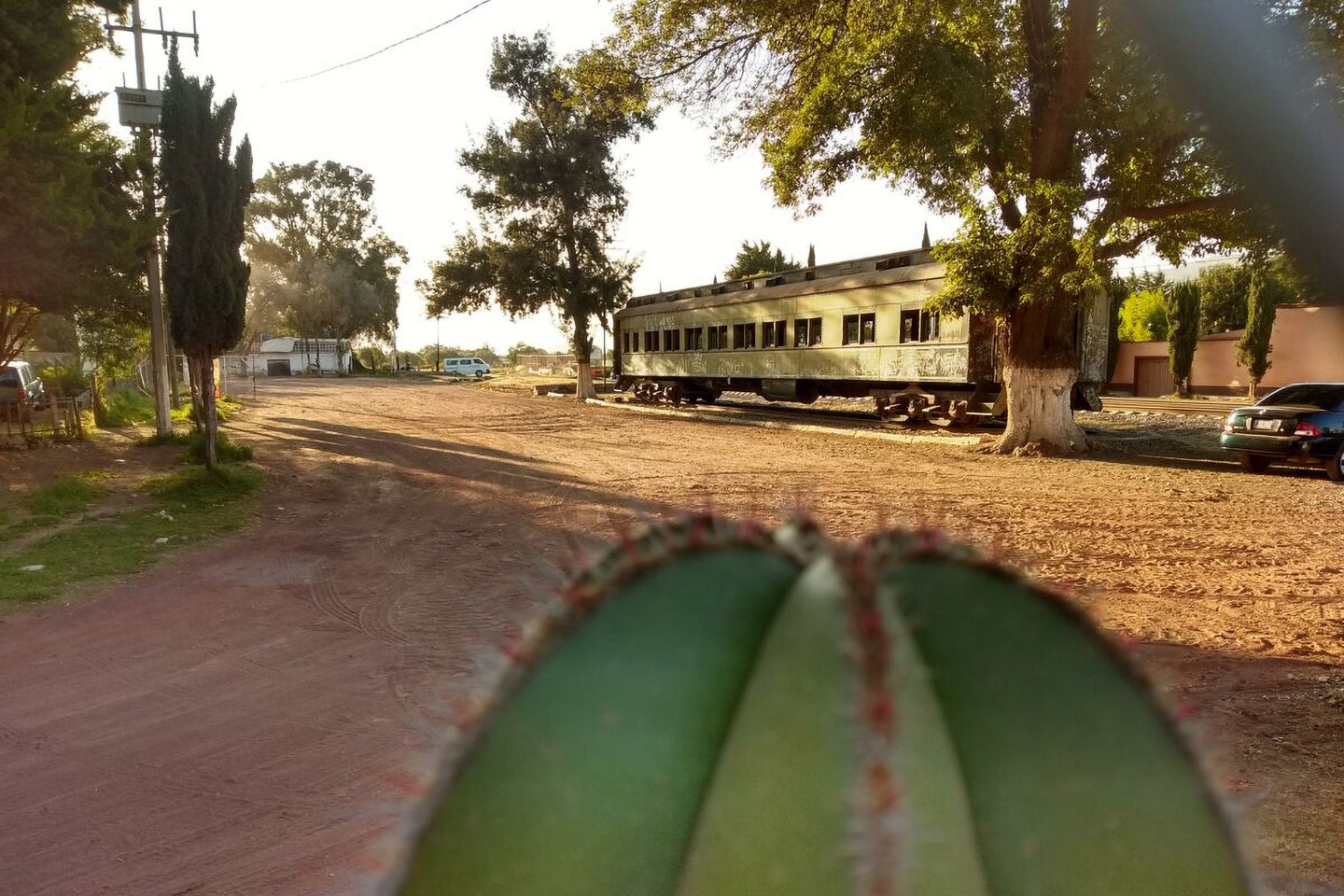 Tours en México para el megapuente de febrero