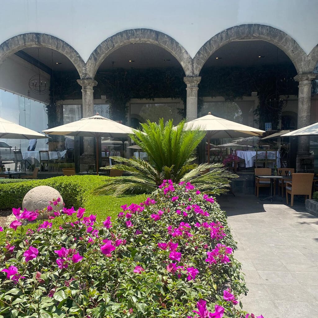 4_restaurantes_terraza_CDMX_Bisto83 Bistro 83