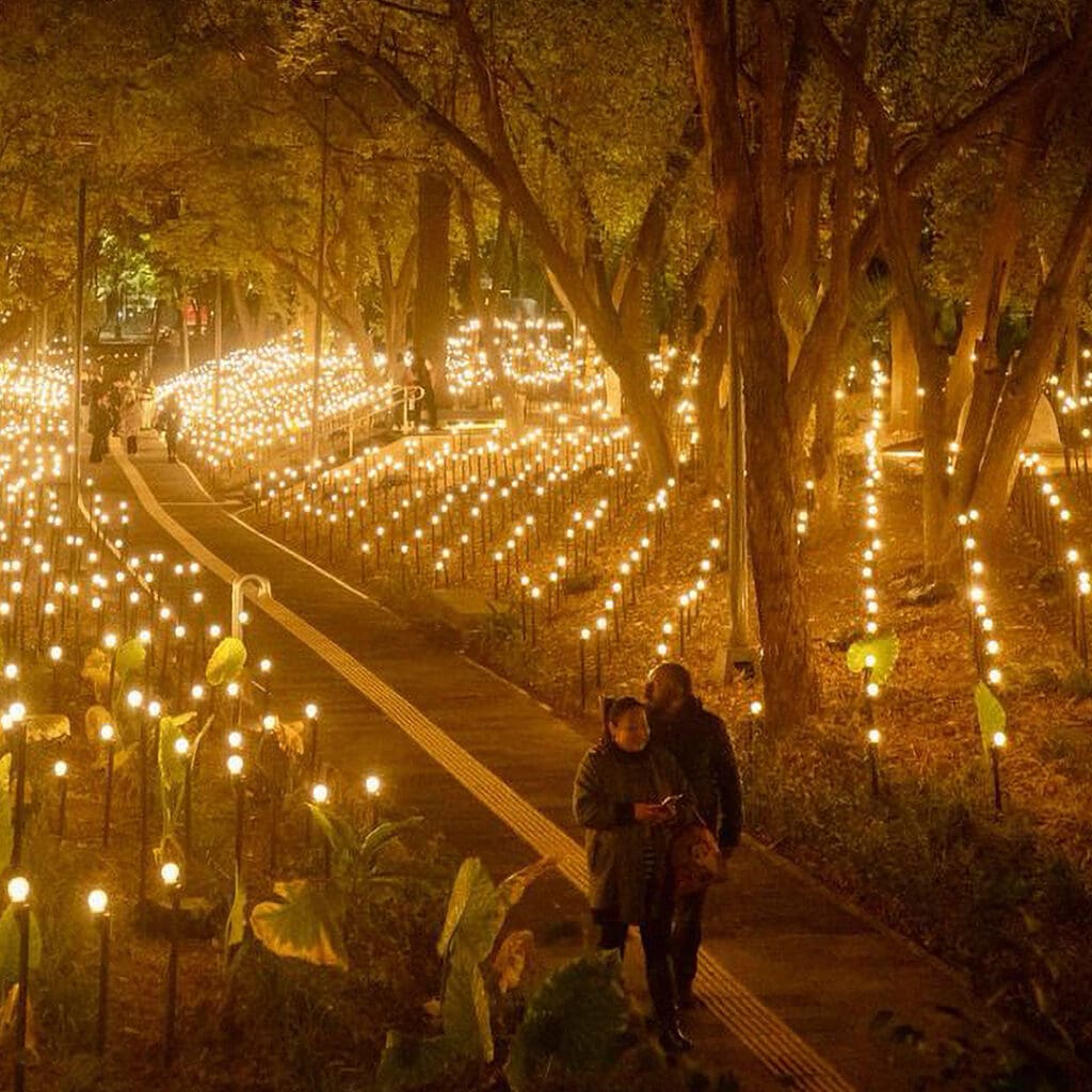 “Jardín Inconcluso” - Museo de Arte Moderno