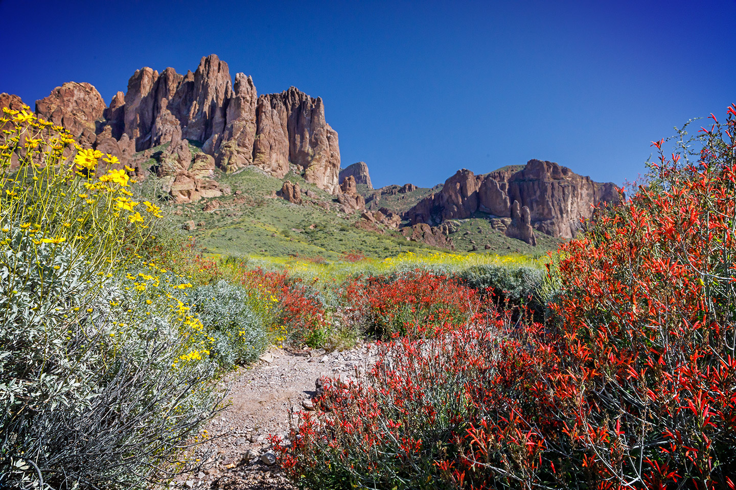 Lost Dutchman.