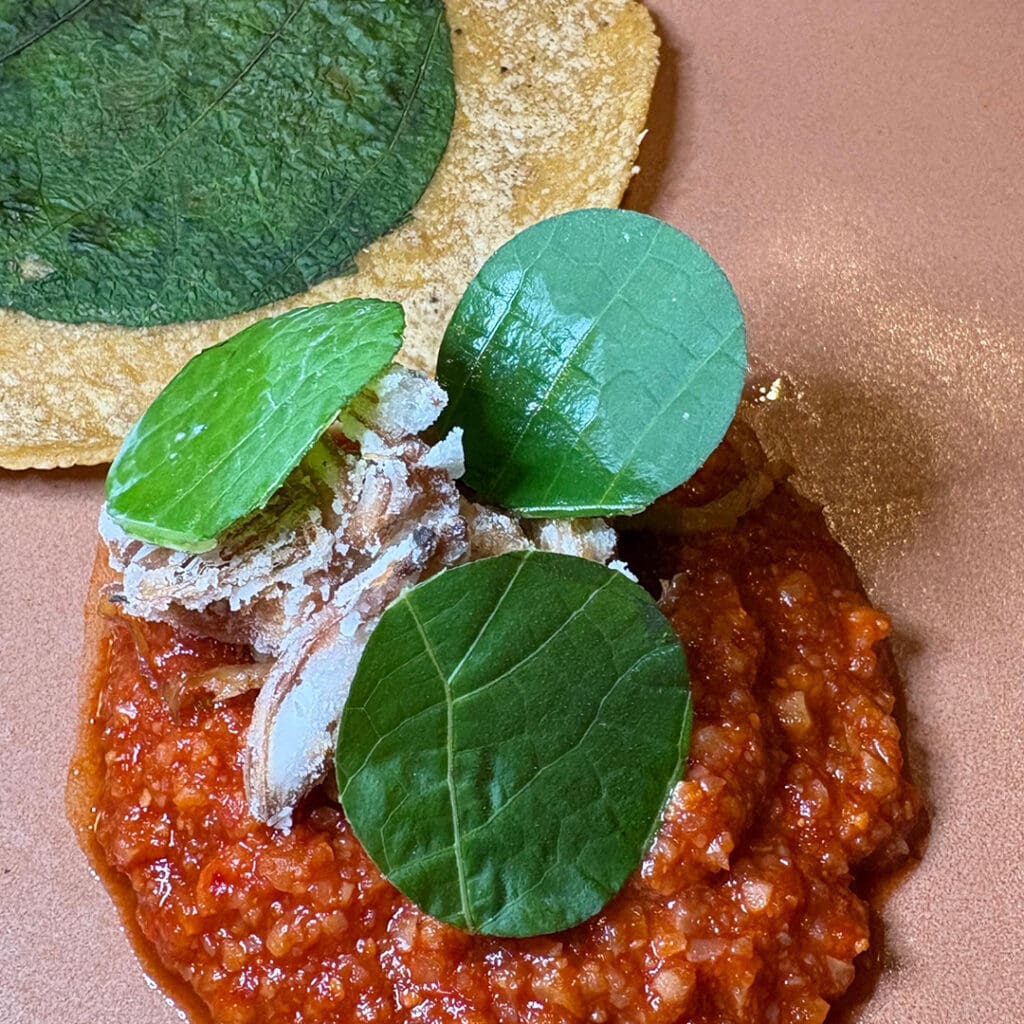 CuMé, festival en Conrad Tulum Riviera Maya