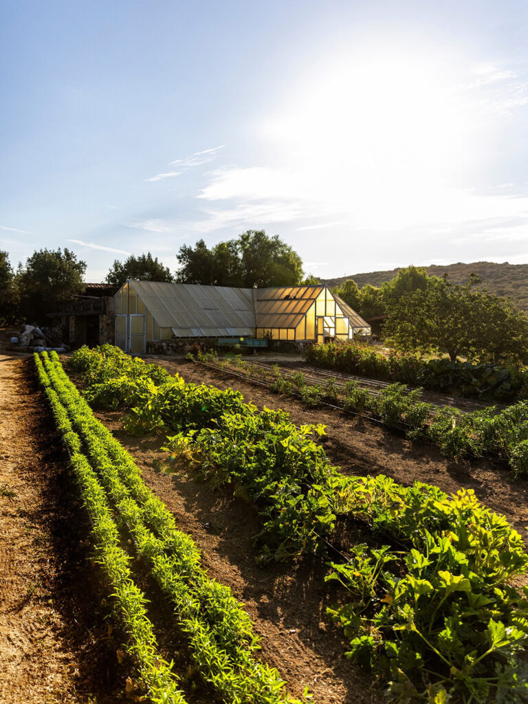 Cada huésped crea su propio itinerario