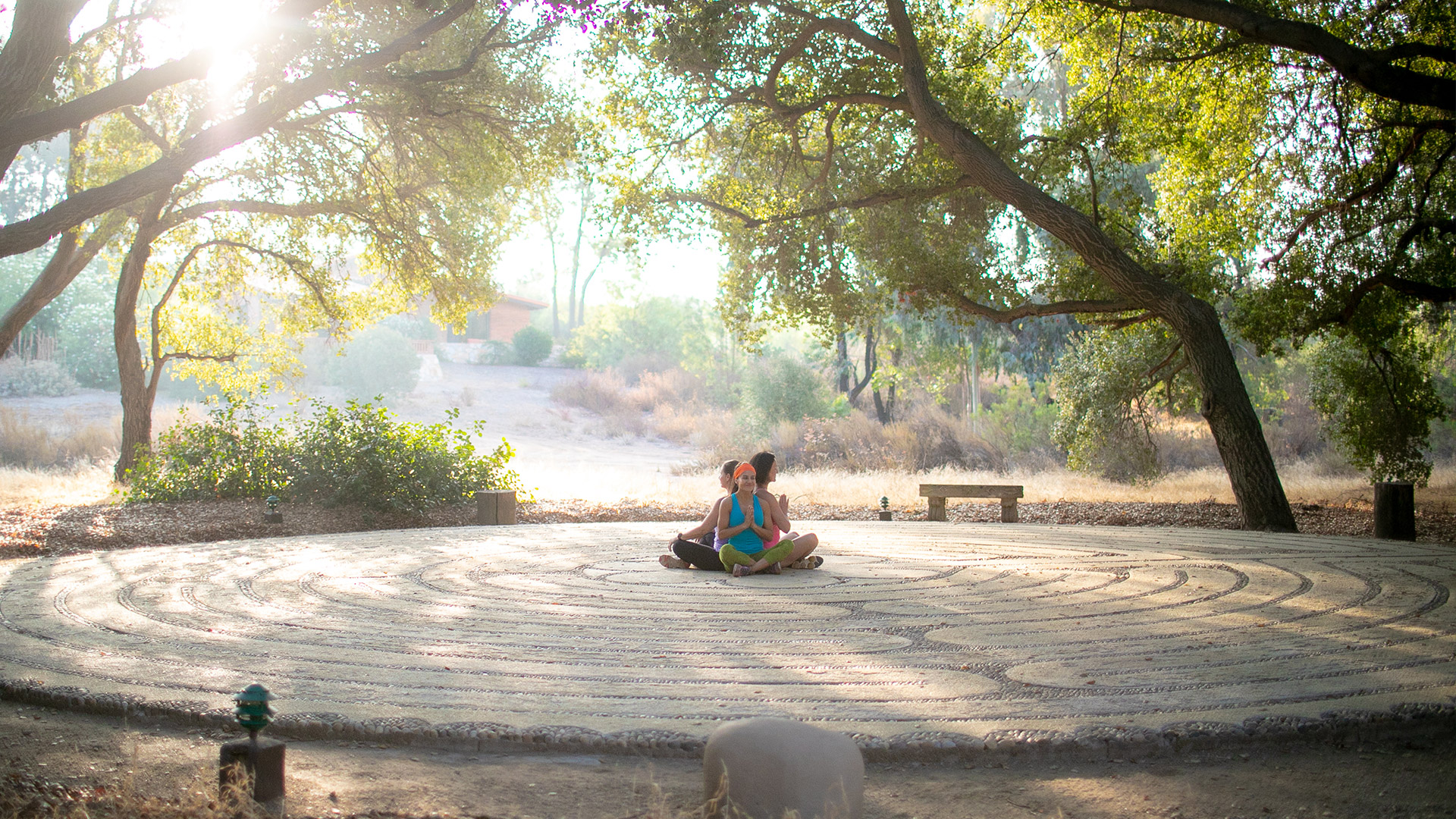 Se ubica en las montañas de Tecate, Baja California.