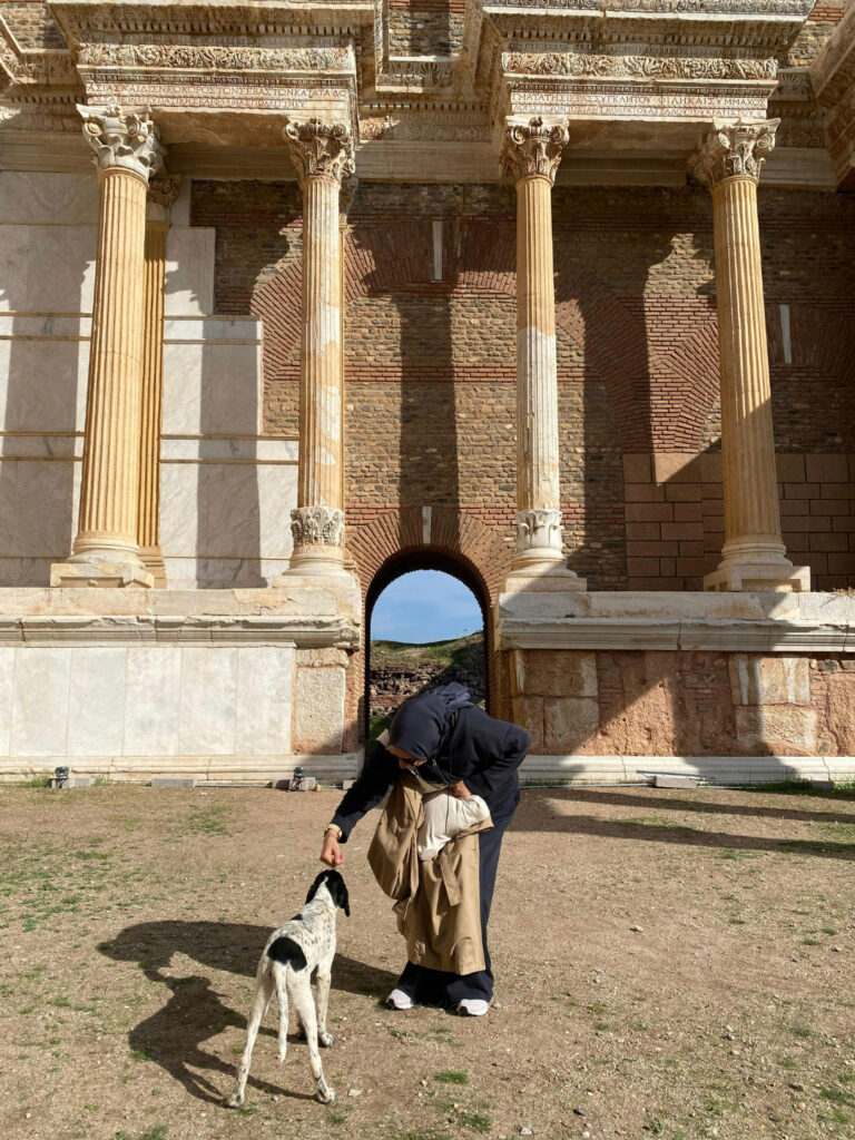 UA_viajar_mascotas_5