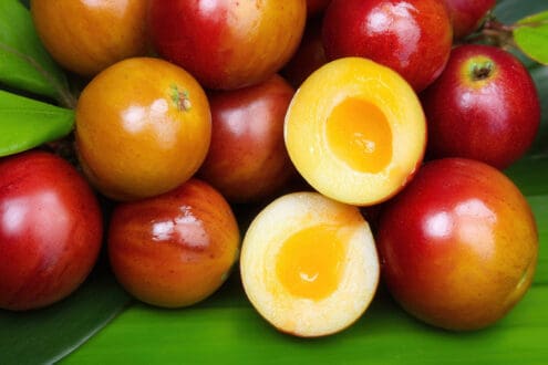 El camu camu, la fruta amazónica que lo tiene todo