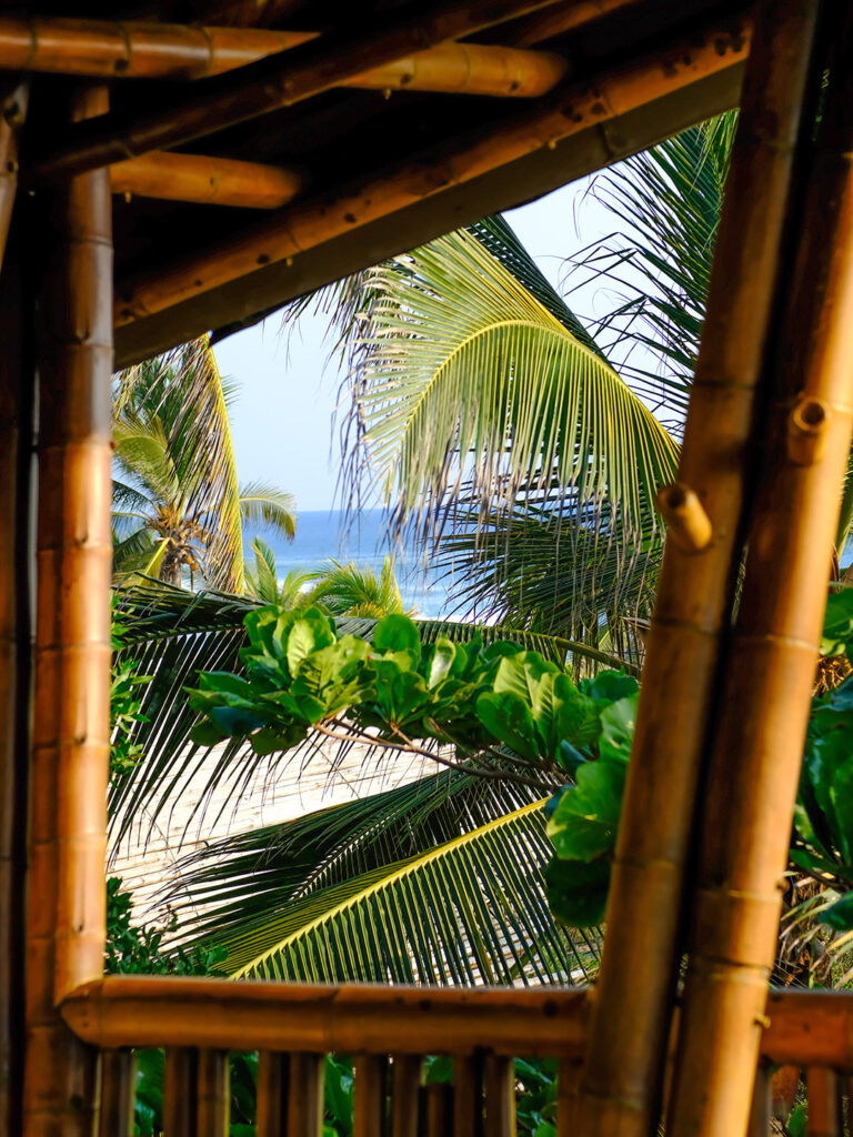 Hotel playa Viva, en Guerrero
