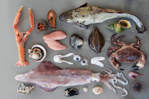 Dinamarca impulsa que su gastronomía sea considerada arte y abre debate global