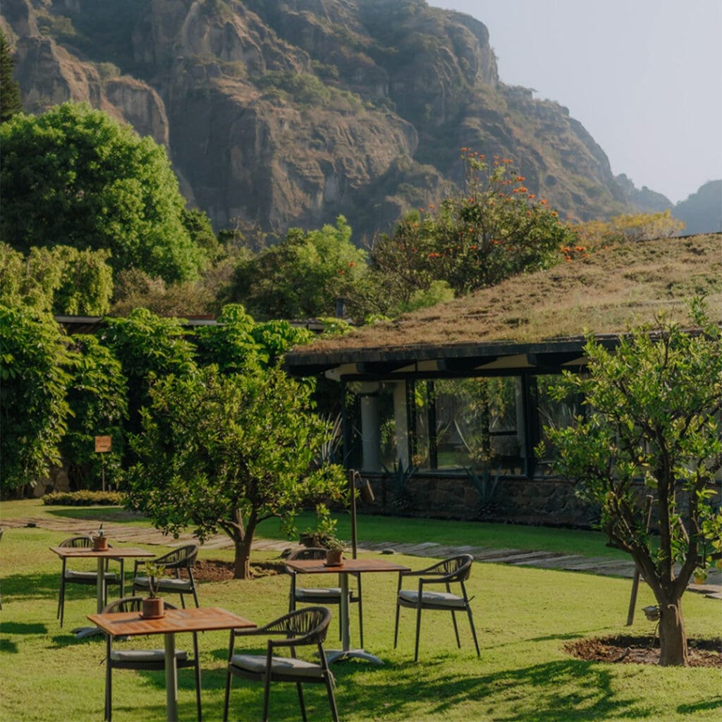 Amomoxtli, Tepoztlán, Morelos.