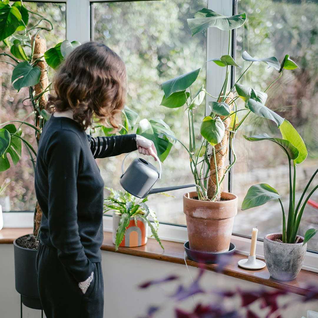 plantas_mientras_viajas_1 consejos para cuidar plantas