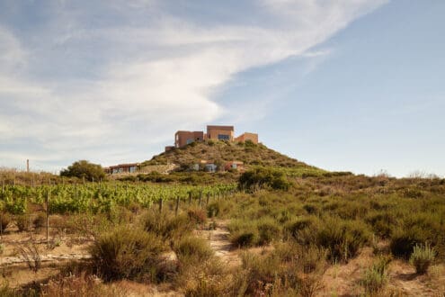 Amapola, el nuevo restaurante de los chefs Benito y Solange en Valle de Guadalupe