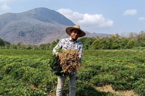 La Ruta del Cacahuate: un viaje con raíces en Colima que tienes que vivir