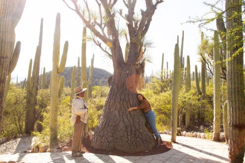 Turismo comunitario en Puebla: las mejores experiencias por conocer