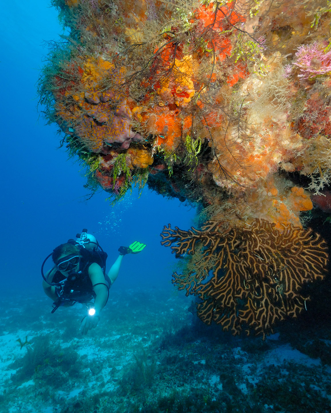 motivos para visitar Cozumel