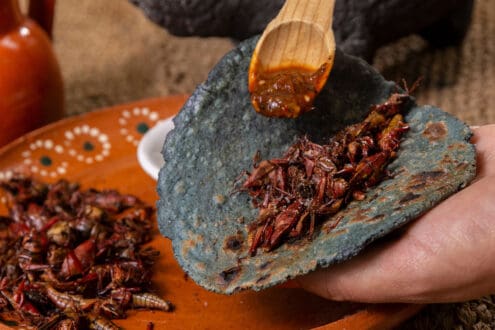 Platillos prehispánicos que llevan siglos conquistando paladares