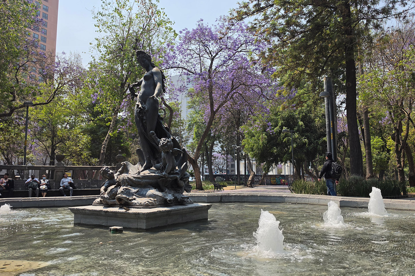 Samsung_jacarandas_0956 Bellas Artes.