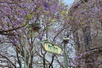 Temporada de jacarandas: tu foto podría ganar un Samsung Galaxy S26