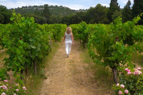 5 celebridades del cine y la música que tienen su propio viñedo