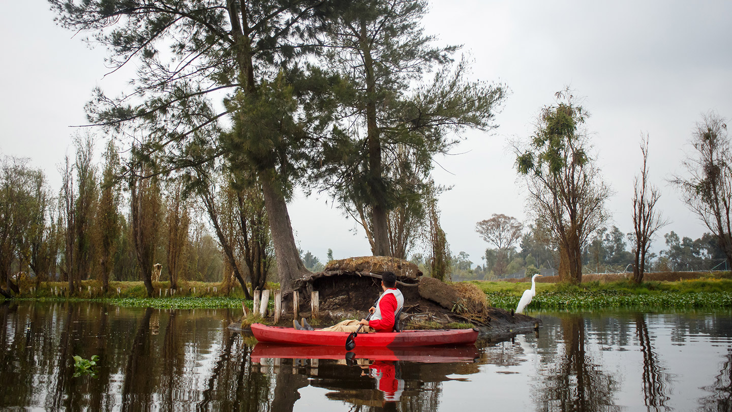 Tour en kayak por Xochimilco.