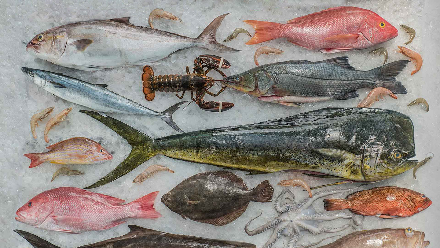El Navegante.