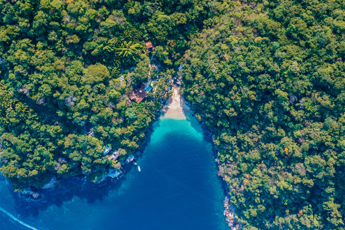 naturaleza en Puerto Vallarta