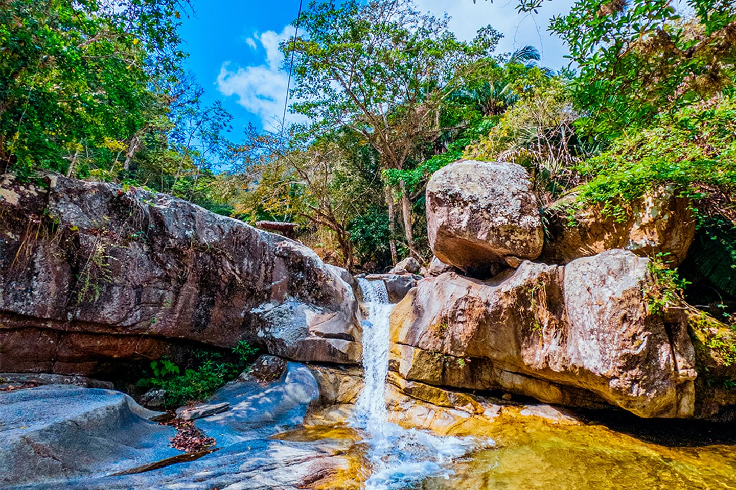 naturaleza en Puerto Vallarta