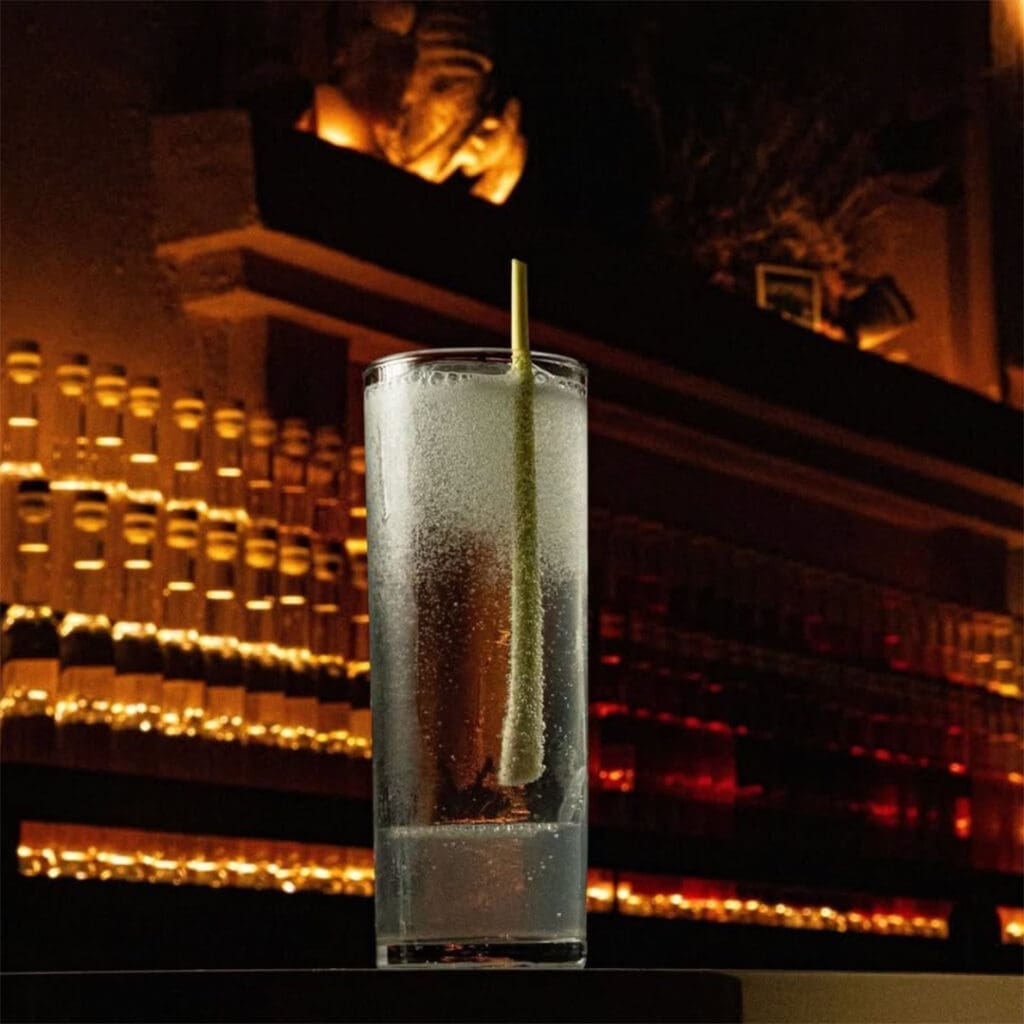 Mecenas –Guadalajara.