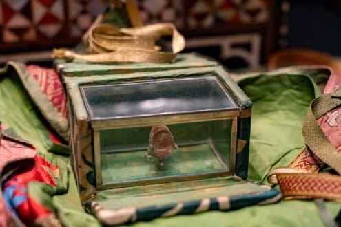 De lo mágico a lo inexplicable: 5 museos raros que debes conocer