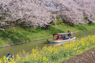 Los secretos de Japón: un viaje por la espiritualidad y hospitalidad fuera de las guías