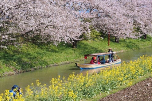 Los secretos de Japón: un viaje por la espiritualidad y hospitalidad fuera de las guías