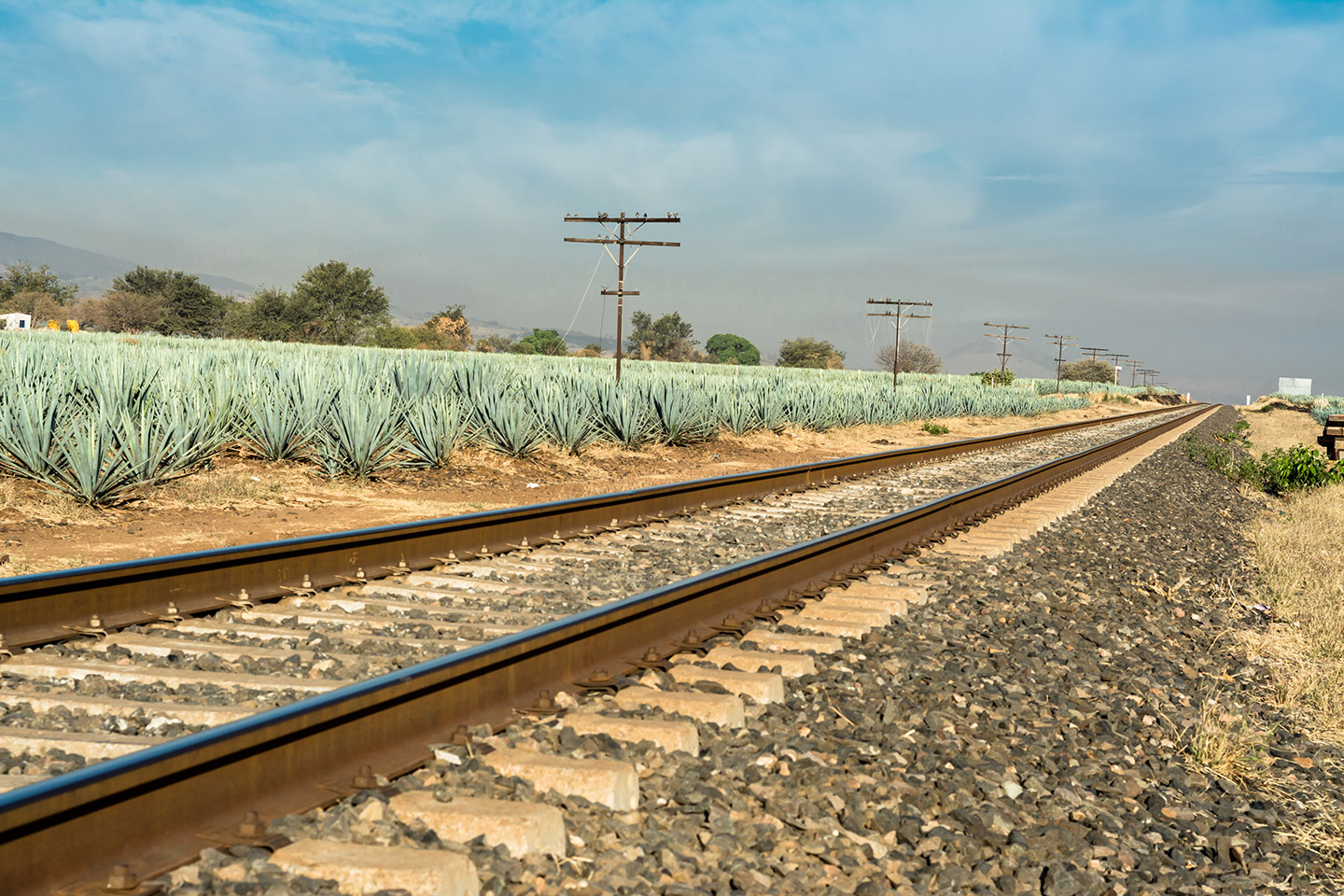 Excursión a Tequila en el tren Tequila Express.