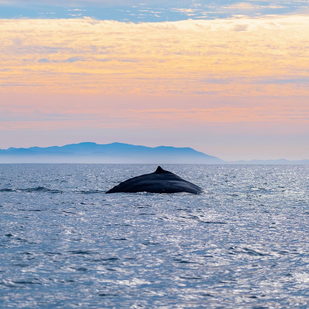 Ixtapa Zihuatanejo