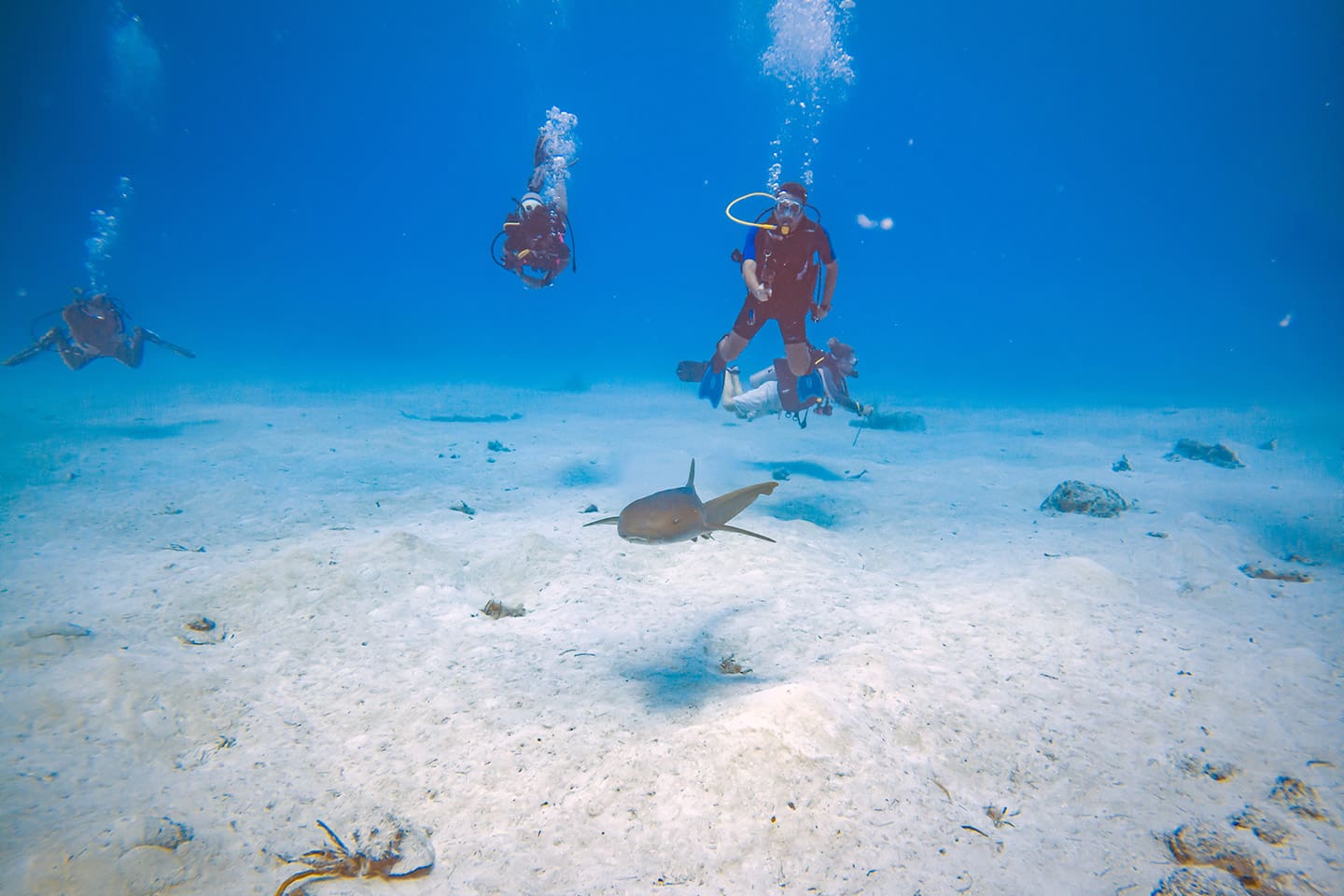 Mahahual Quintana Roo