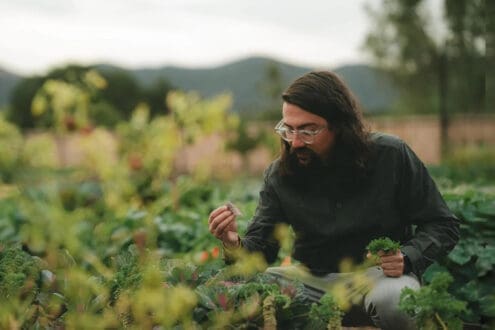 Degustar Ensenada: La magia de la hiperlocalidad en Olivea Farm To Table