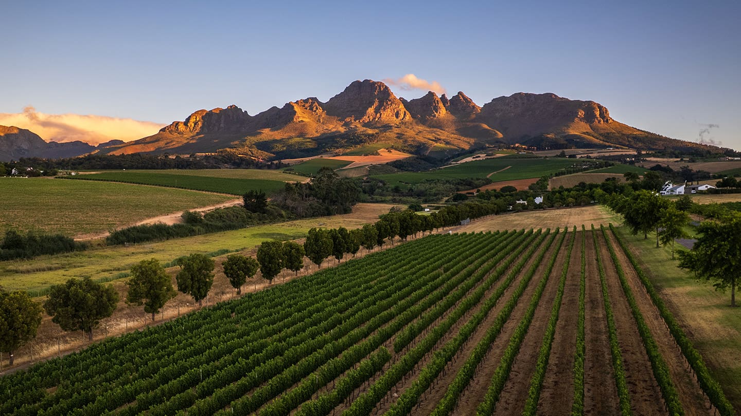 Stellenbosch.