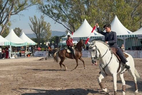 La Vendimia Brava y el arte de celebrar el vino en San Miguel de Allende