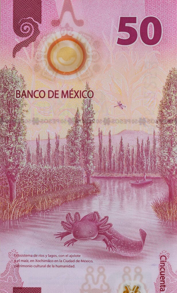 El nuevo billete mexicano de 50 pesos.